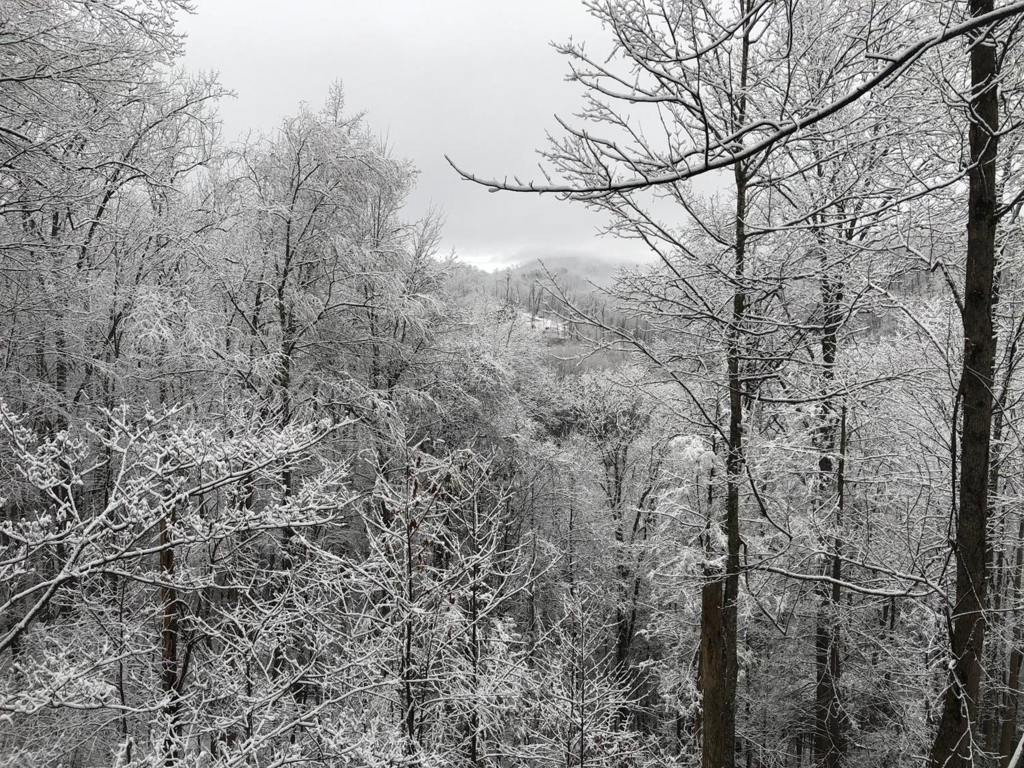 Black Bear Cove Gatlinburg Extérieur photo