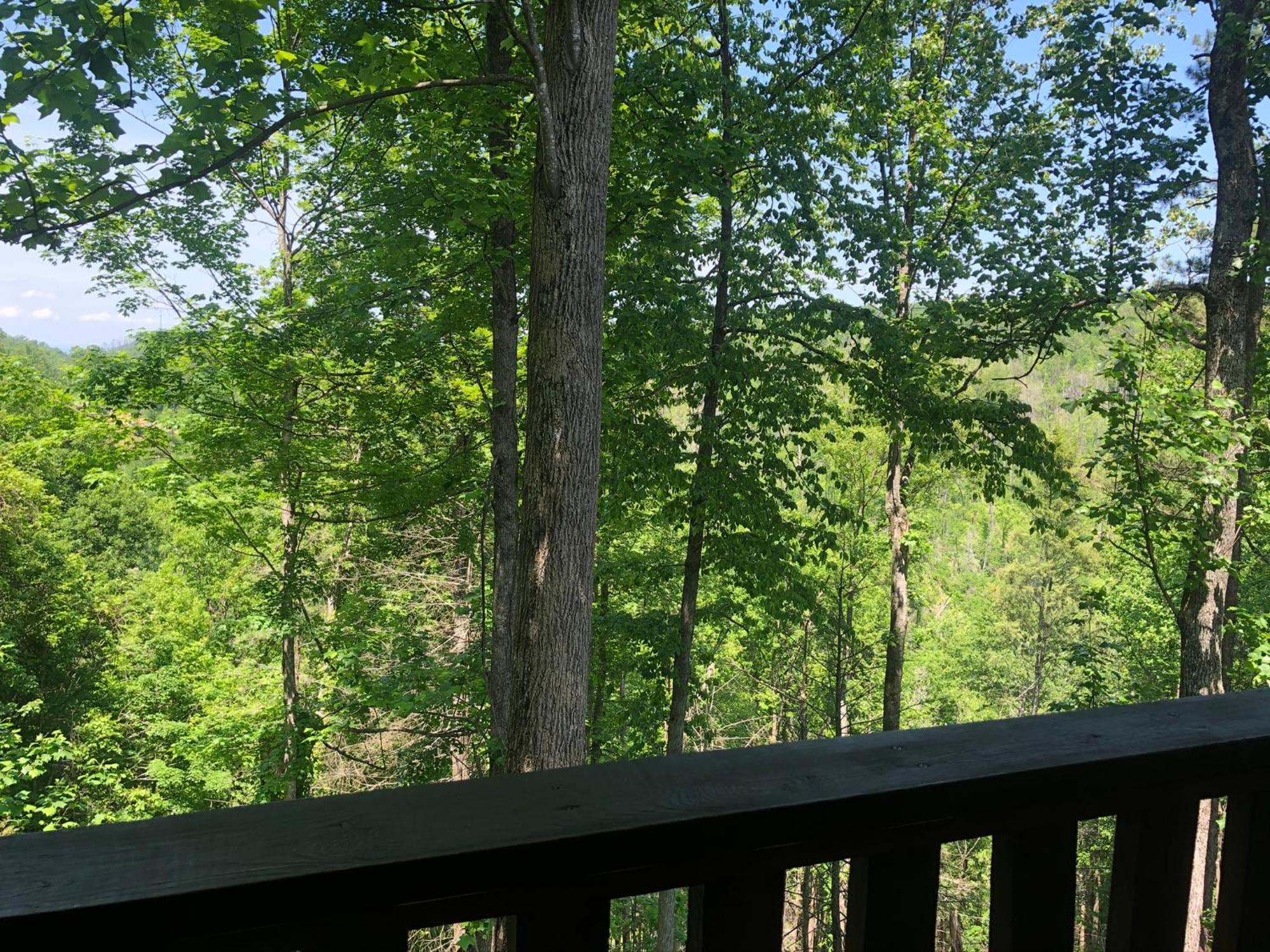 Black Bear Cove Gatlinburg Extérieur photo